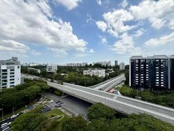 Leedon Green (D10), Condominium #580792621